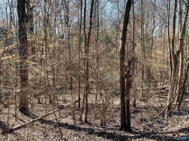 LOT15 Cardinal Dr, Guntersville AL, 35976 land for sale