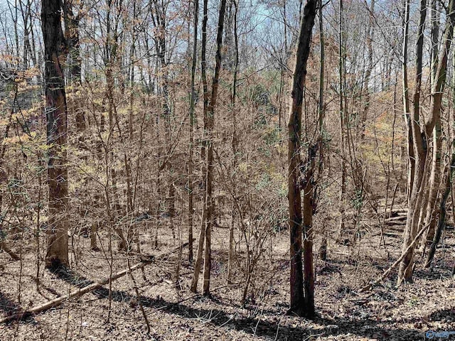 LOT15 Cardinal Dr, Guntersville AL, 35976 land for sale