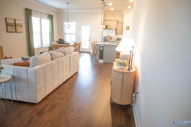 living room with crown molding, dark wood-type flooring, and a wealth of natural light