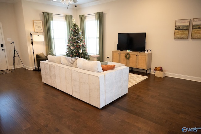 living room with ceiling fan, dark hardwood / wood-style floors, and ornamental molding