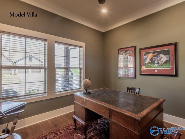 office featuring hardwood / wood-style flooring and crown molding