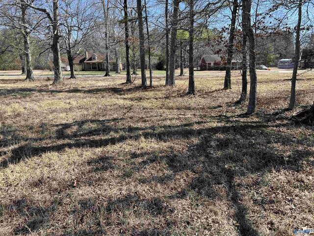 4 Guthrie Rd, Elkmont, AL 35620