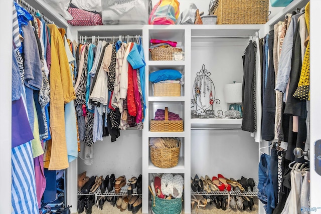 view of walk in closet