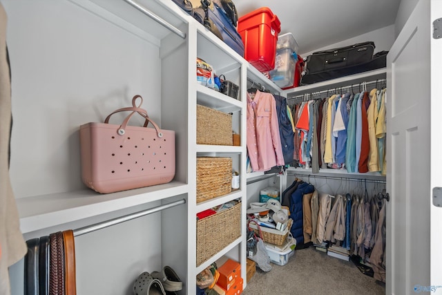 spacious closet with carpet floors