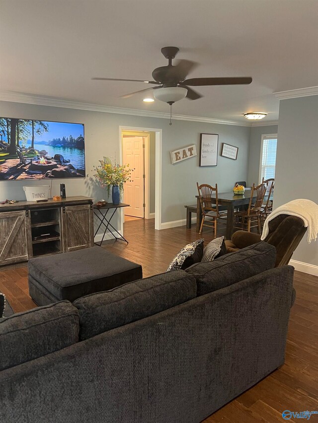 living room with ornamental molding, ceiling fan, and dark hardwood / wood-style floors