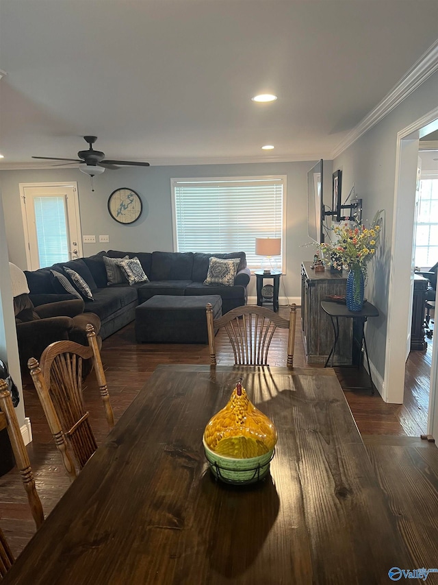 dining space with dark wood-type flooring, ceiling fan, and crown molding