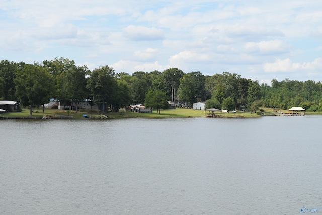 view of water feature