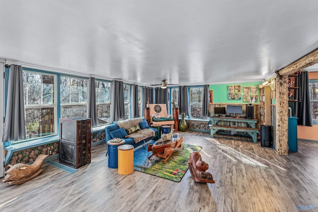 living room with hardwood / wood-style flooring