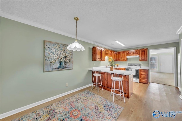 kitchen featuring light wood finished floors, white electric stove, a peninsula, crown molding, and under cabinet range hood