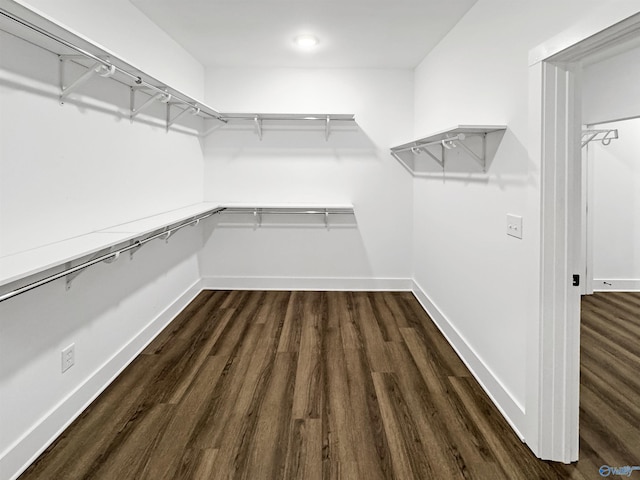 spacious closet featuring dark wood-style flooring