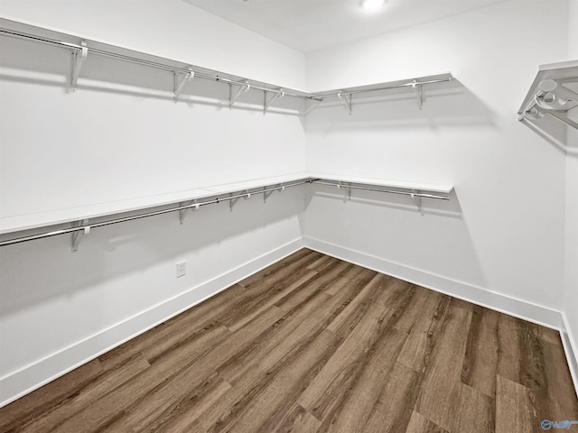 spacious closet with dark wood-type flooring