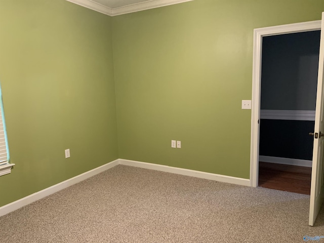 unfurnished room with carpet flooring and crown molding