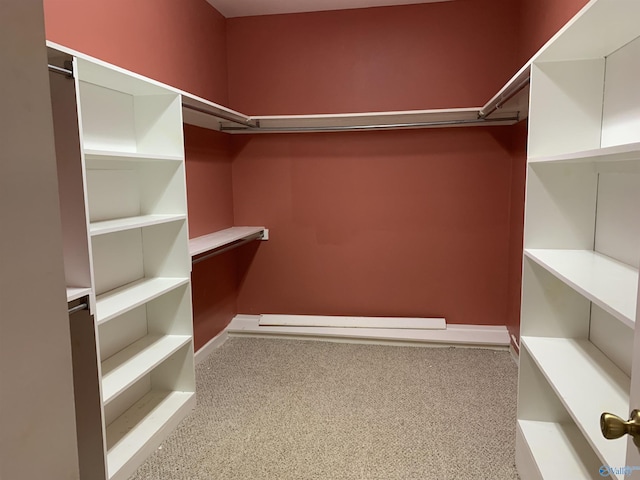 walk in closet with light carpet