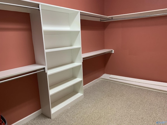 spacious closet featuring carpet floors