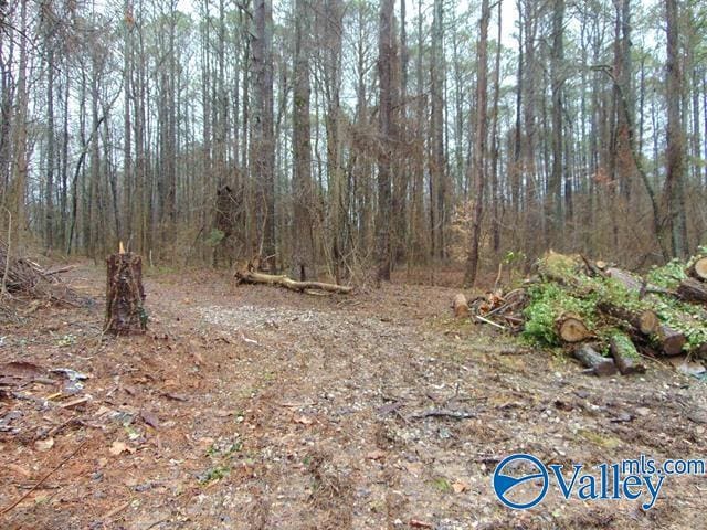 Listing photo 2 for 7ACRES Carters Gin Rd, Toney AL 35773