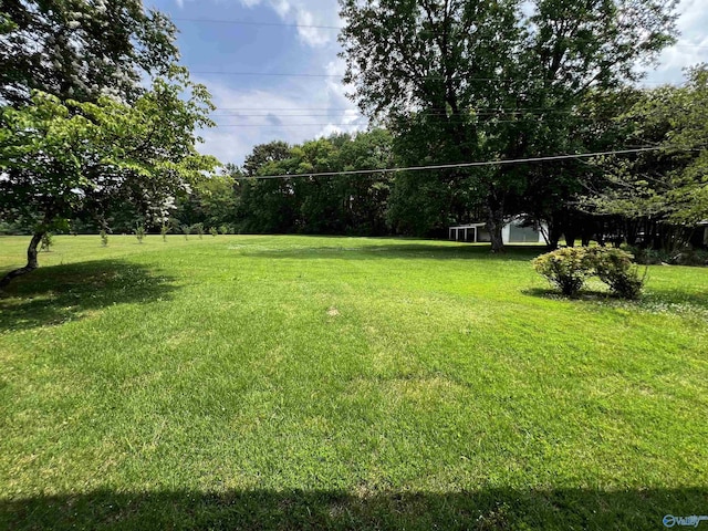 16052 Court St, Moulton, AL 35650 - view of grassy yard