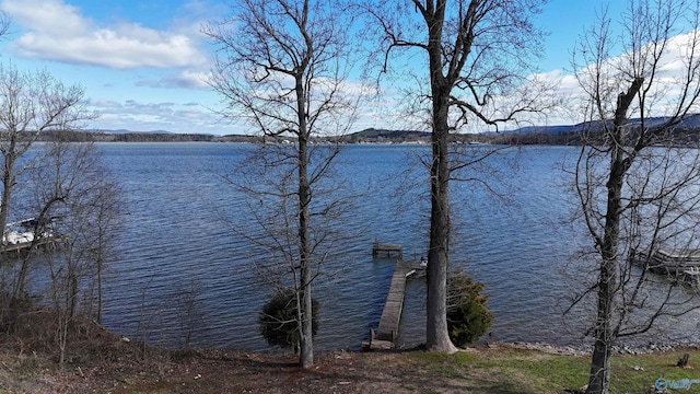 property view of water