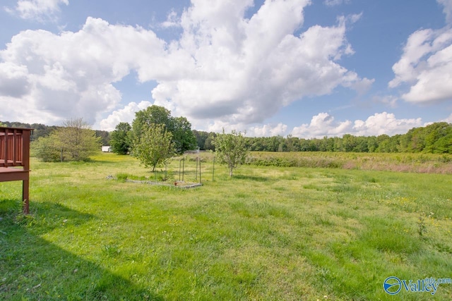 view of yard with a rural view