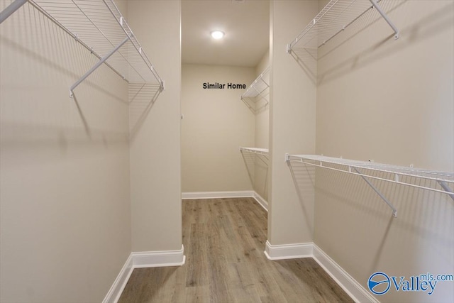 spacious closet featuring light wood-type flooring