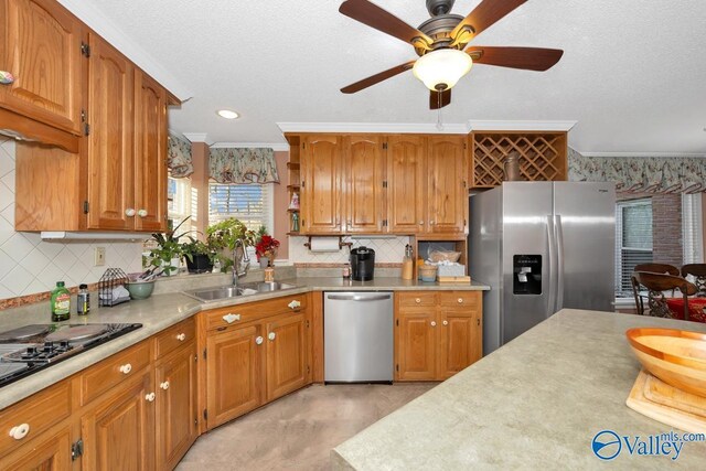 kitchen featuring stainless steel appliances, tasteful backsplash, sink, and ceiling fan