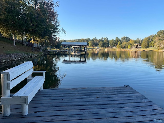 dock area with a water view