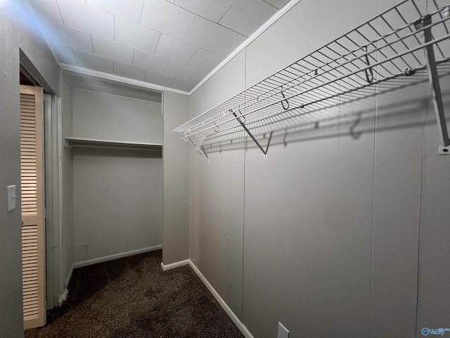 spacious closet featuring dark colored carpet