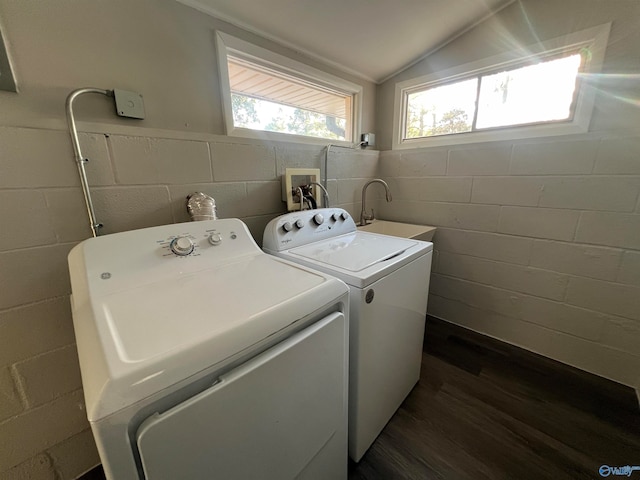 laundry area with sink, independent washer and dryer, and dark wood-type flooring