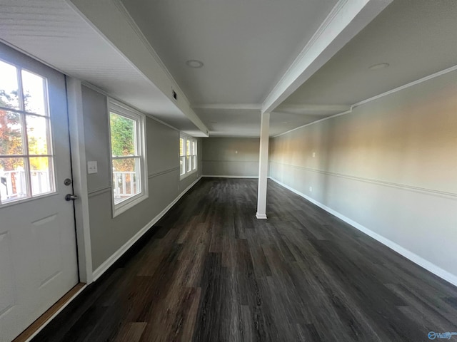 interior space featuring dark wood-type flooring, ornamental molding, and plenty of natural light