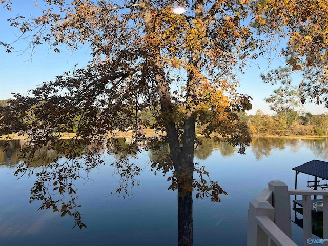 property view of water