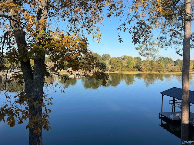 water view with a dock