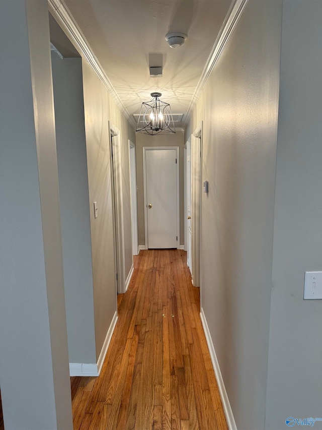 hall featuring crown molding and hardwood / wood-style flooring