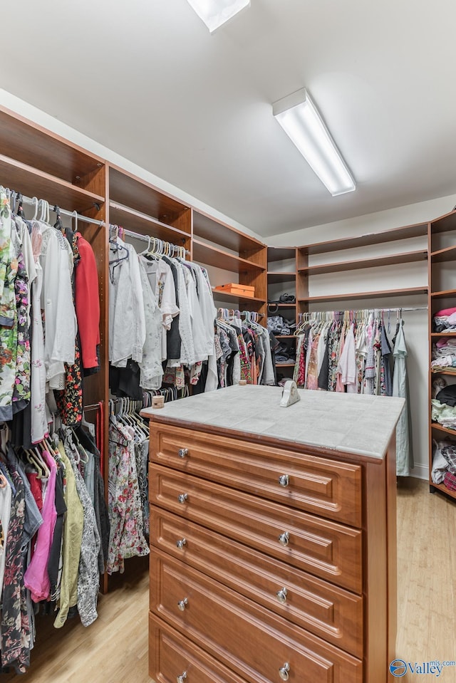 spacious closet featuring light hardwood / wood-style flooring