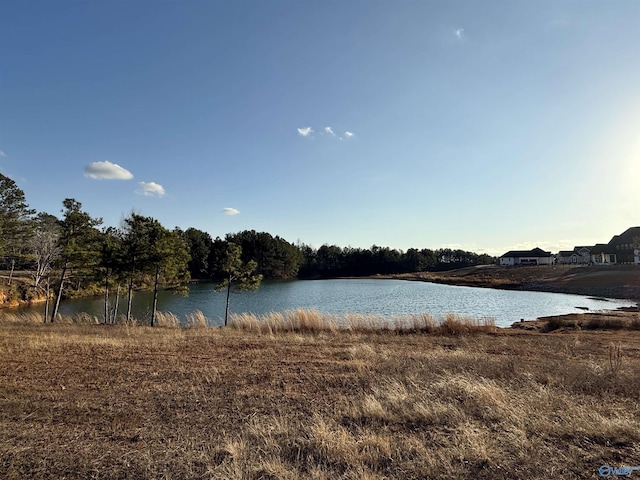 view of water feature