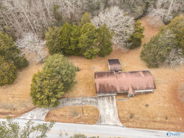 bird's eye view