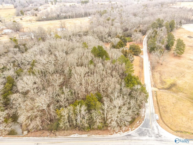 drone / aerial view featuring a rural view