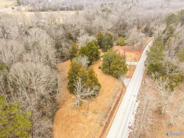 bird's eye view