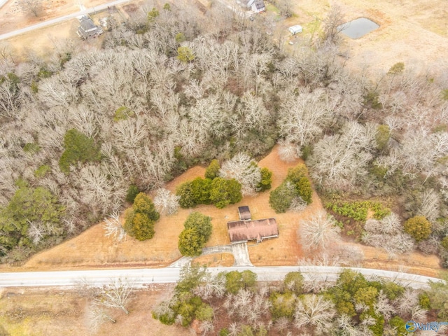 bird's eye view