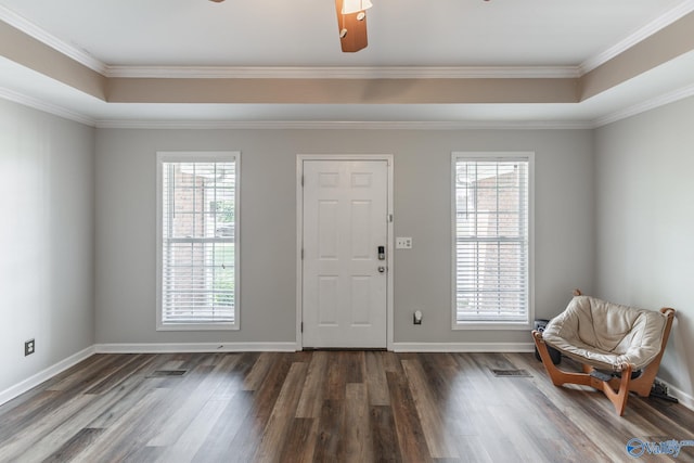 foyer entrance featuring dark wood-type flooring, a healthy amount of sunlight, and a raised ceiling