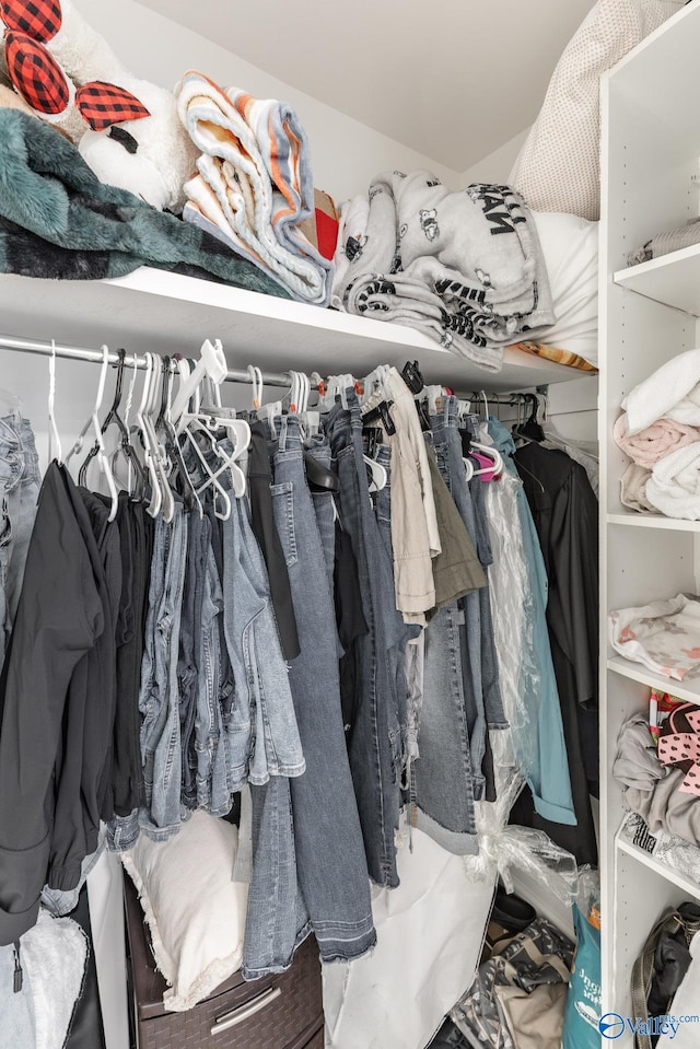 view of walk in closet