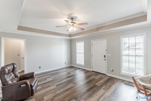 entryway featuring a tray ceiling, a wealth of natural light, and dark wood-type flooring