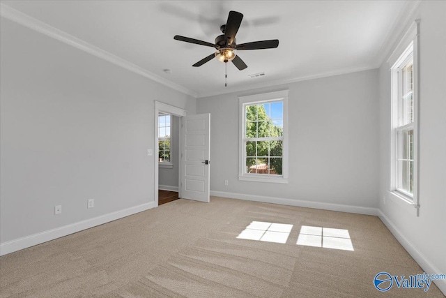 carpeted spare room featuring a ceiling fan, visible vents, baseboards, and crown molding