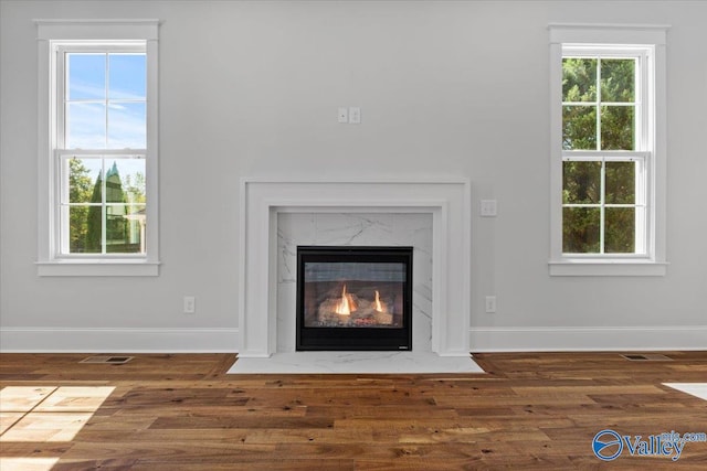 room details with a fireplace, wood finished floors, and baseboards