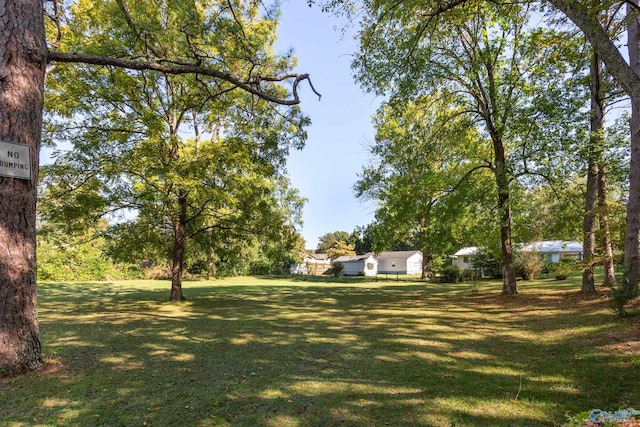 view of yard