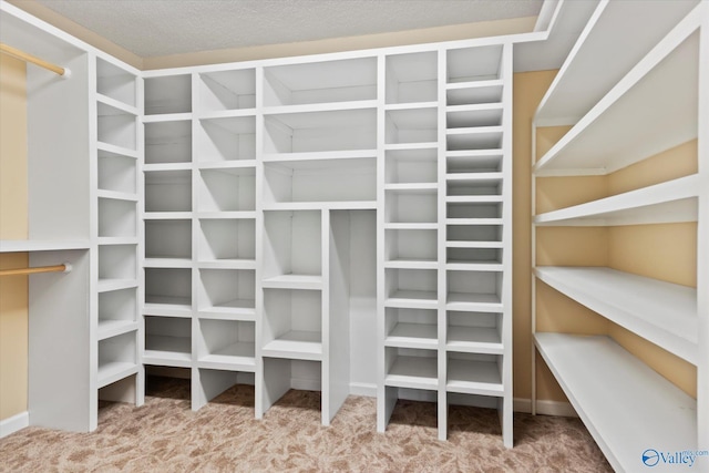 walk in closet featuring carpet