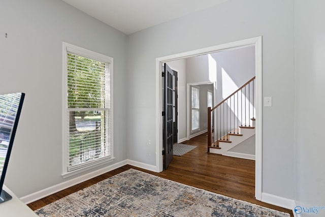 entryway featuring dark wood-type flooring and a wealth of natural light