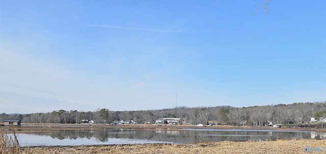 property view of water