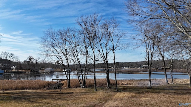 view of water feature