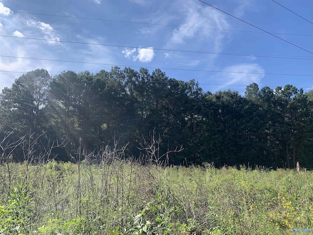 Listing photo 2 for LAND9.03ACRES Mooresville Rd, Elkmont AL 35620