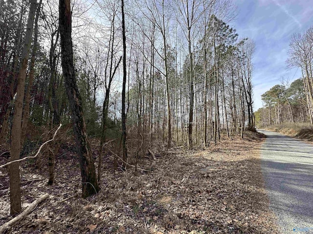 Listing photo 2 for 11ACRES Poplar Springs Rd, Albertville AL 35951