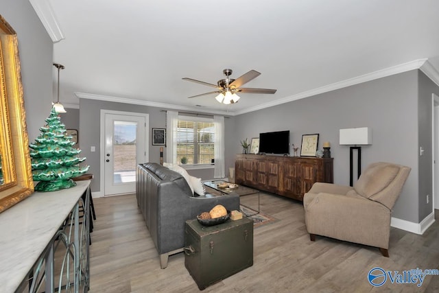 living room featuring ceiling fan, crown molding, and light hardwood / wood-style flooring